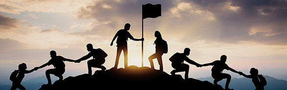 平湖新保紡織科技有限公司